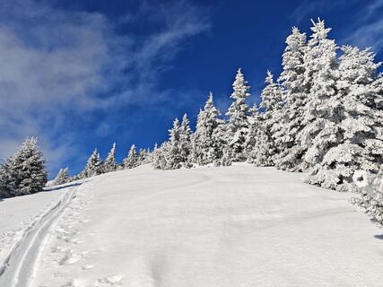 Fotografija s spletne strani gp1964 na poti