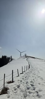 Foto de scholzi a lo largo del recorrido