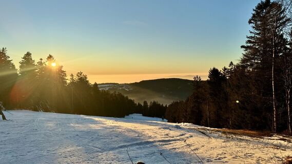 Foto de Sorin Logofatu 1 a lo largo del recorrido