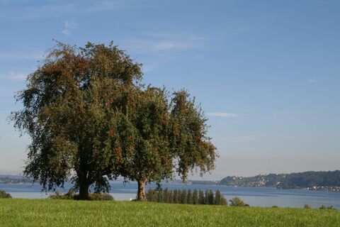 Radweg Horn-Gaienhofen