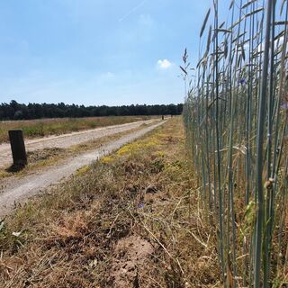 Altmarkrundkurs bei Uchtspringe