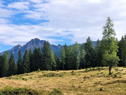 Foto von mmecki entlang der Tour