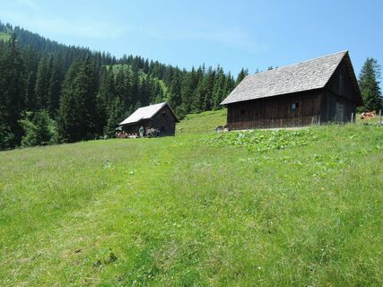 Neuburgalm