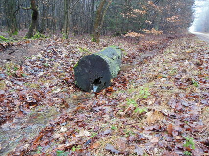 Weg zu Platte