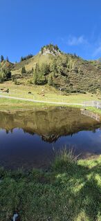 Fotografija s spletne strani Bruunoo na poti