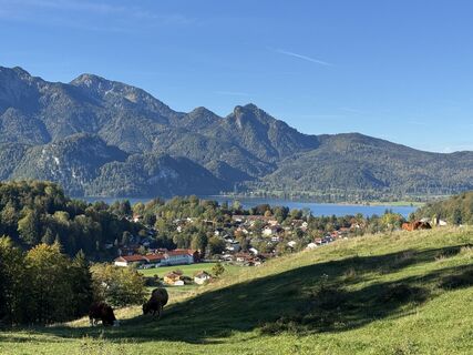 Fotografija s spletne strani Denise Miller na poti