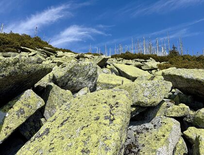 Fotografia z Natur_erleben_dg na trase