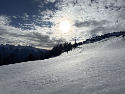 Foto von Grizzli entlang der Tour