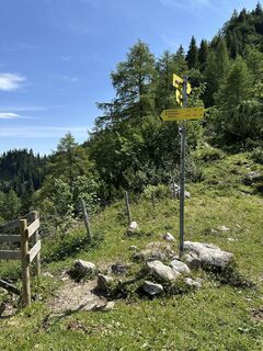 Photo de justasimpleguy le long du parcours