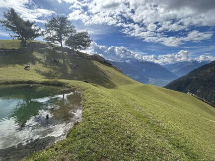 Fotografija s spletne strani Bernd Rodekohr na poti