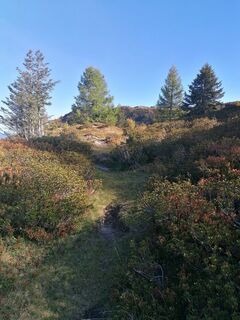Photo de Dagmar Hofer le long du parcours