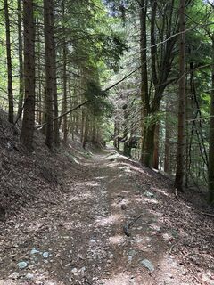 Photo de Heinz Sperl le long du parcours