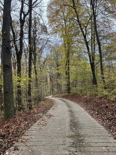 Foto von Tuti Dugovics entlang der Tour