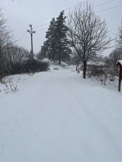 Fotografija s spletne strani Vladik82 na poti