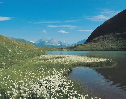 Vorderer Langtalsee