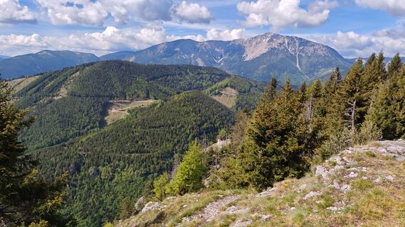 Foto von Bergpirat entlang der Tour