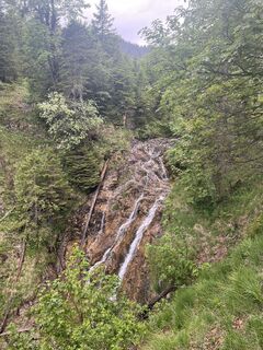 Foto von Roxana entlang der Tour