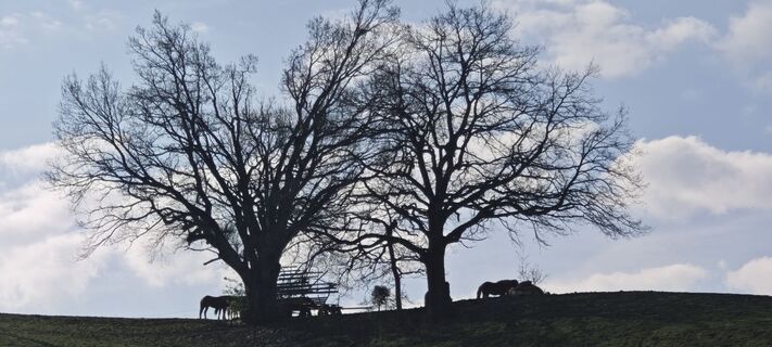 Foto de Guenther Hahn a lo largo del recorrido
