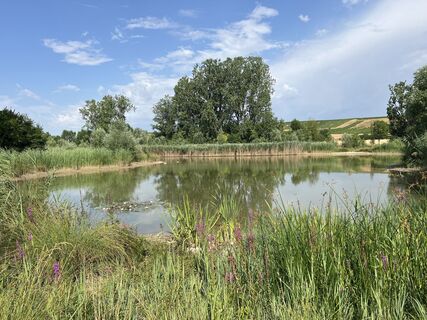 Foto von Wilfried Wagner entlang der Tour