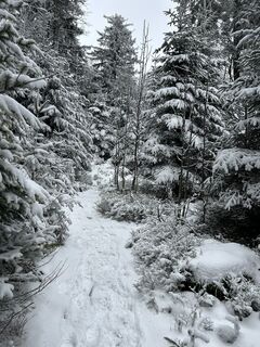 Photo from Christian Bozsoki along the tour