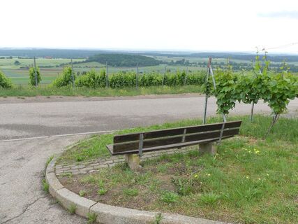 Aussicht vom Weinberg "Röschen"