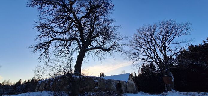 Foto de Deutsch Margit a lo largo del recorrido