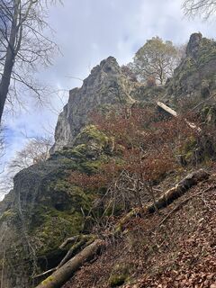 Photo de Elke Unland le long du parcours