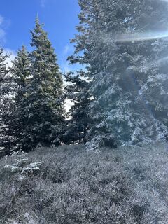 Foto von Carola Krems entlang der Tour