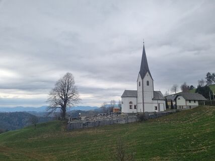 Photo de Grizli le long du parcours