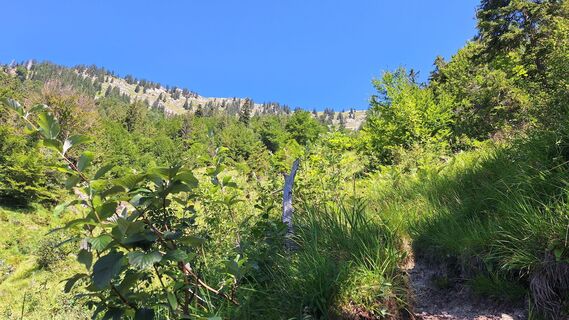 Zdjęcie z RobuC wzdłuż trasy