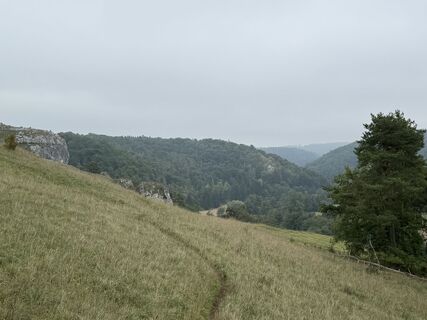 Foto de Norbert Herbig a lo largo del recorrido