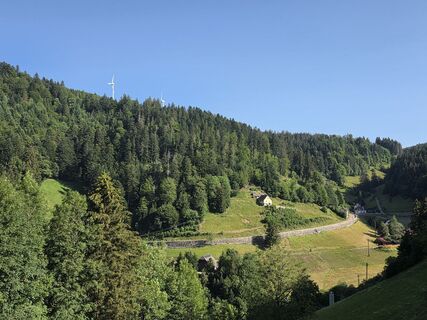 Photo de Noreen (NoKe) le long du parcours