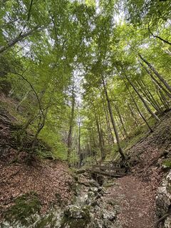 Foto de RS76 a lo largo del recorrido