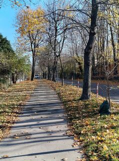 Foto von Schwermetal entlang der Tour