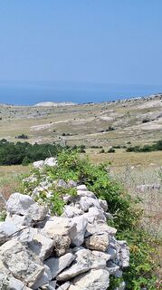 Foto från Aga M under resans gång