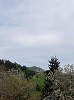 Foto de Aner a lo largo del recorrido