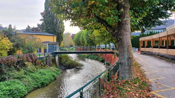 Herbstliche Trattnach