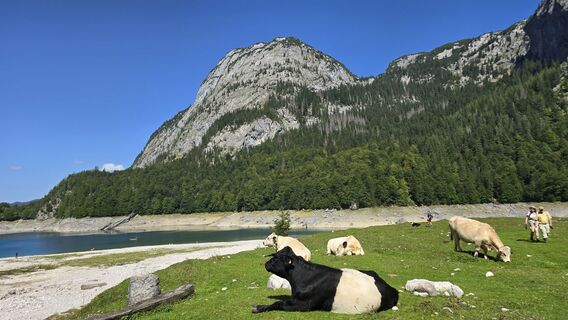 Foto von Veronika Strauss entlang der Tour