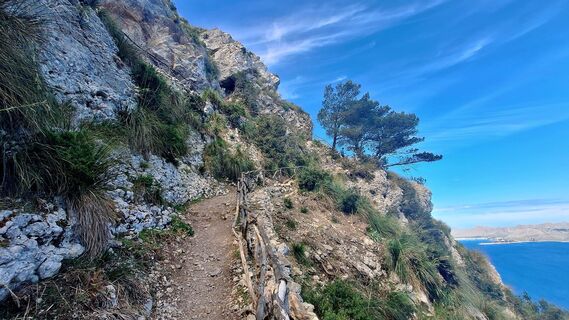 Foto de Regina Fleischmann a lo largo del recorrido
