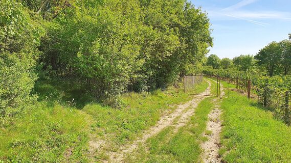 1.0 km Vor versperrten Tor links auf Single