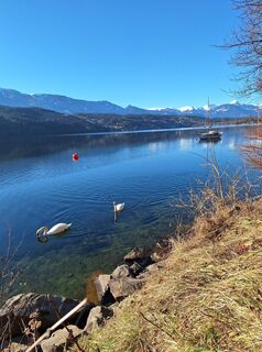 Zdjęcie z Dagmar Hofer wzdłuż trasy