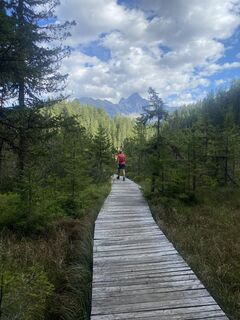 Photo de HL54 le long du parcours