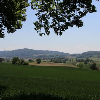Aussicht vom Südtrauf