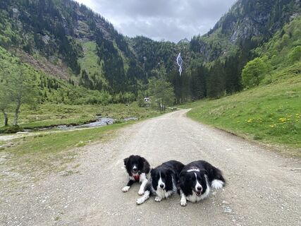 Fotografia z Florian Gerl na trase