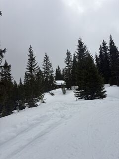 Fotografie z Ing Saša Djordjević MA na trase