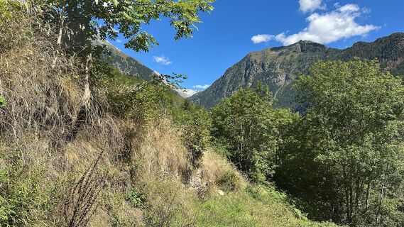 Foto von Agnese Martinelli entlang der Tour