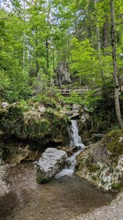 Myrafälle und Steinwandklamm 2025