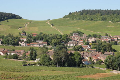 Mercurey-vignes-juin-2016 (61)