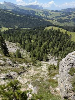 Photo de Steve Bowen le long du parcours