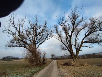 Foto de Markus Hummelbrunner a lo largo del recorrido